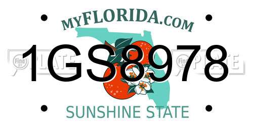 1GS8978 Florida License Plate