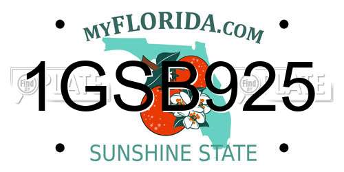 1GSB925 Florida License Plate