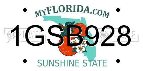 1GSB928 Florida License Plate