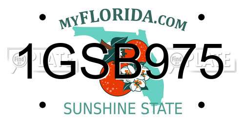 1GSB975 Florida License Plate