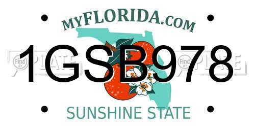 1GSB978 Florida License Plate