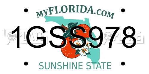 1GSS978 Florida License Plate