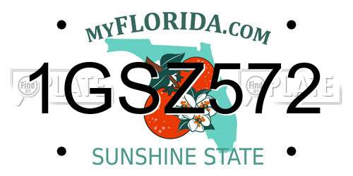 1GSZ572 Florida License Plate