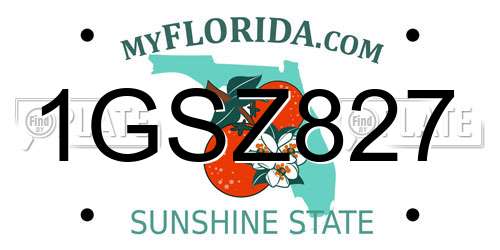 1GSZ827 Florida License Plate