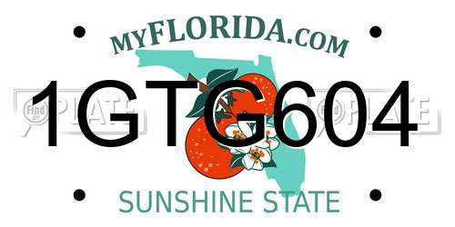 1GTG604 Florida License Plate