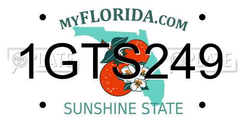 1GTS249 Florida License Plate