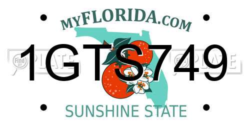 1GTS749 Florida License Plate