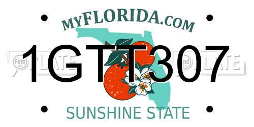 1GTT307 Florida License Plate