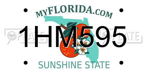 1HM595 Florida License Plate
