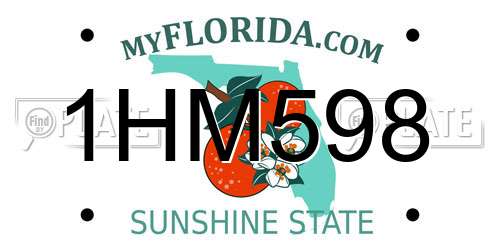 1HM598 Florida License Plate