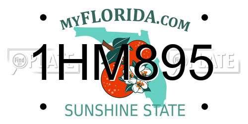 1HM895 Florida License Plate