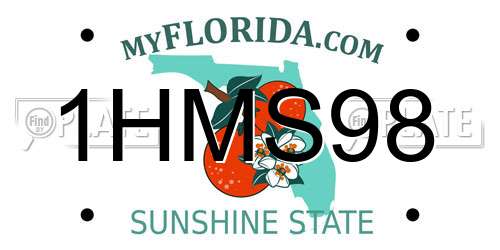 1HMS98 Florida License Plate