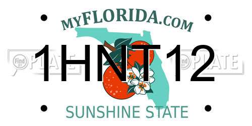 1HNT12 Florida License Plate