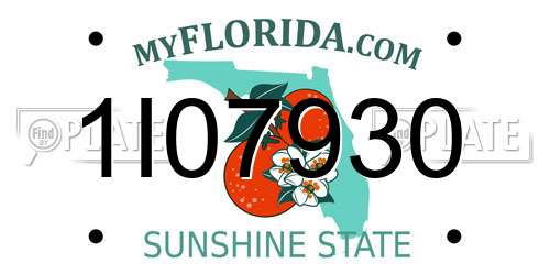 1I07930 Florida License Plate