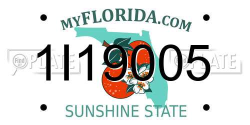 1I19005 Florida License Plate