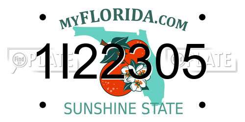 1I22305 Florida License Plate