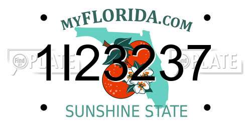 1I23237 Florida License Plate