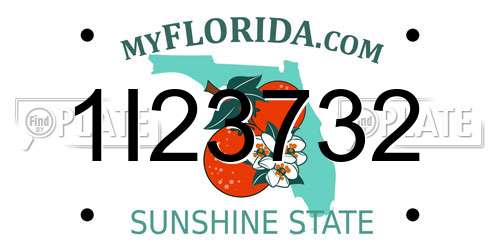 1I23732 Florida License Plate