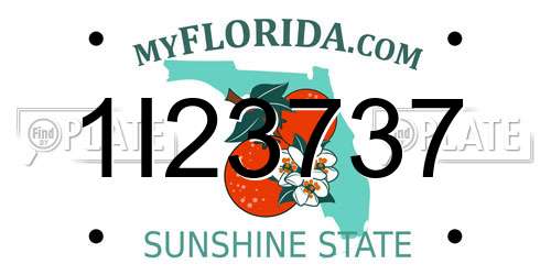 1I23737 Florida License Plate