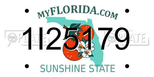 1I25179 Florida License Plate
