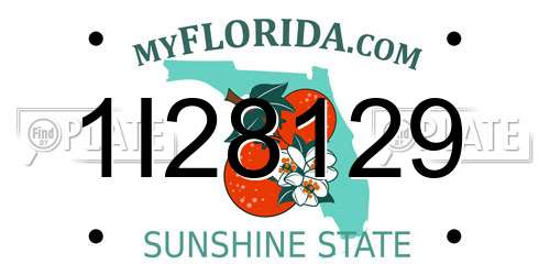 1I28129 Florida License Plate