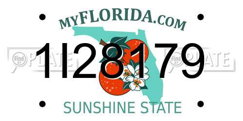 1I28179 Florida License Plate