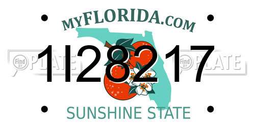 1I28217 Florida License Plate
