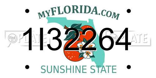 1I32264 Florida License Plate