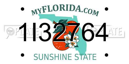 1I32764 Florida License Plate