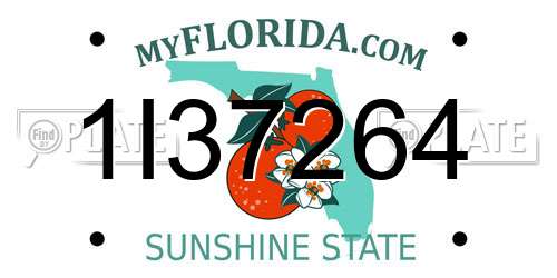 1I37264 Florida License Plate