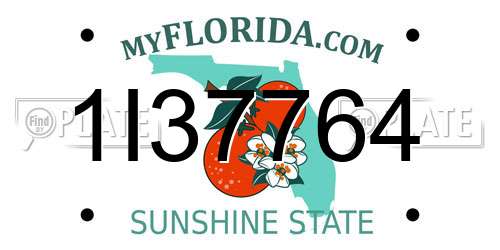 1I37764 Florida License Plate