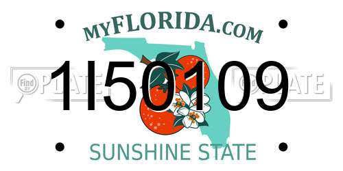 1I50109 Florida License Plate