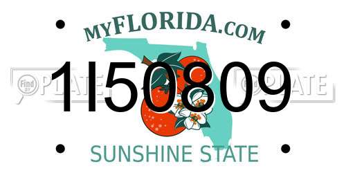 1I50809 Florida License Plate
