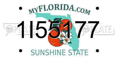 1I55177 Florida License Plate