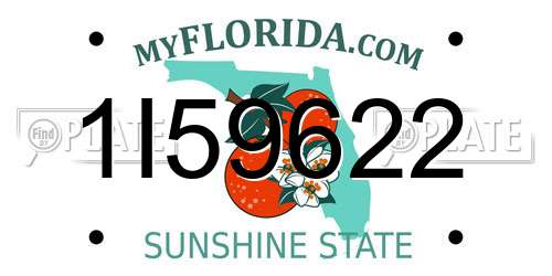1I59622 Florida License Plate