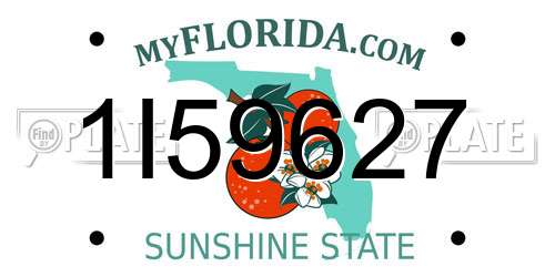 1I59627 Florida License Plate