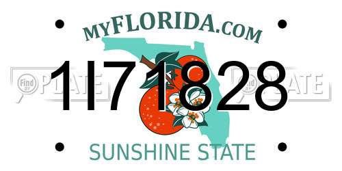 1I71828 Florida License Plate