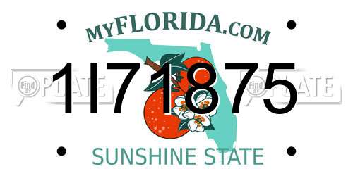 1I71875 Florida License Plate