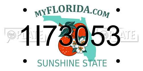 1I73053 Florida License Plate