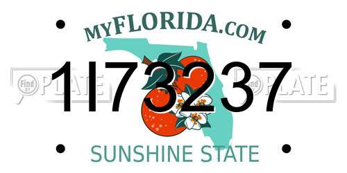 1I73237 Florida License Plate