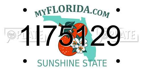 1I75129 Florida License Plate