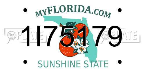 1I75179 Florida License Plate