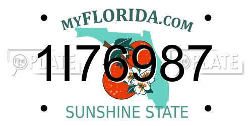 1I76987 Florida License Plate