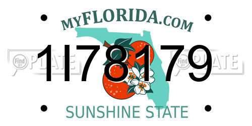1I78179 Florida License Plate
