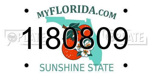 1I80809 Florida License Plate
