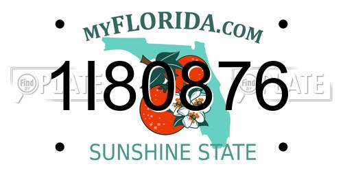 1I80876 Florida License Plate