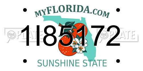 1I85172 Florida License Plate