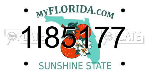 1I85177 Florida License Plate