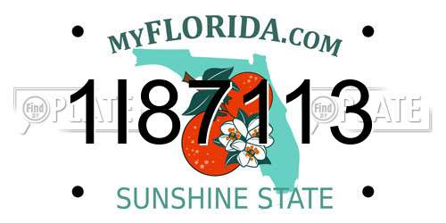 1I87113 Florida License Plate