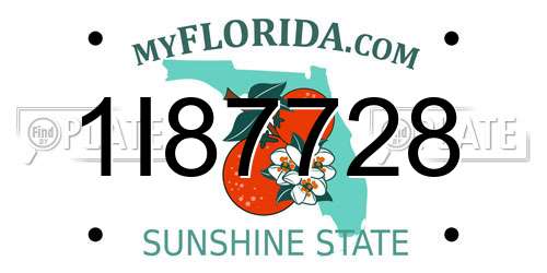 1I87728 Florida License Plate